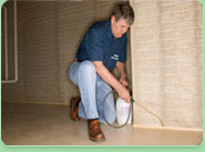 Alperton pest control